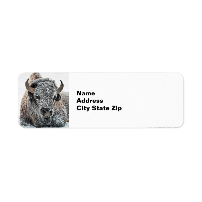 Wildlife Buffalo Snow Photo Label (Front)