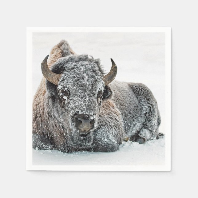 Wildlife Buffalo Snow Photo Napkins (Front)