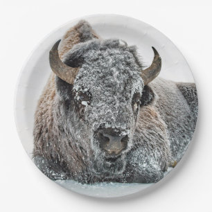 Wildlife Buffalo Snow Photo Paper Plates