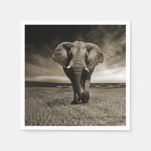 Wildlife Bull Elephant Photo Napkins