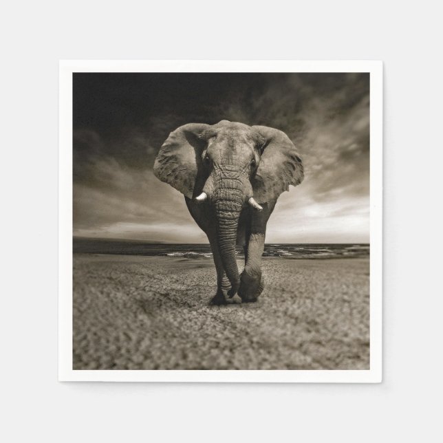 Wildlife Bull Elephant Photo Napkins (Front)