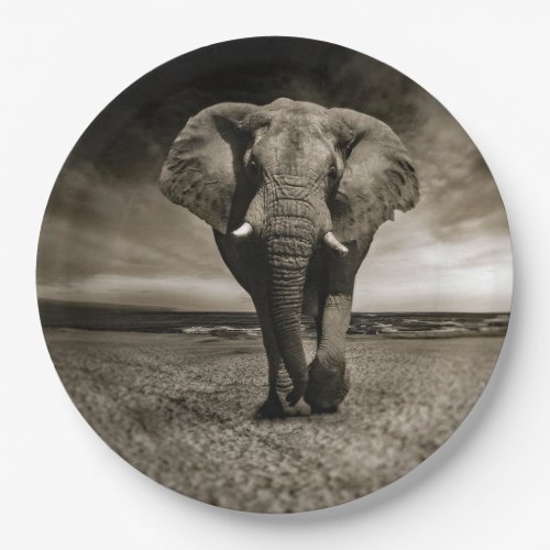 Wildlife Bull Elephant Photo Paper Plates