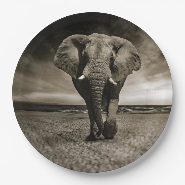 Wildlife Bull Elephant Photo Paper Plates (Front)