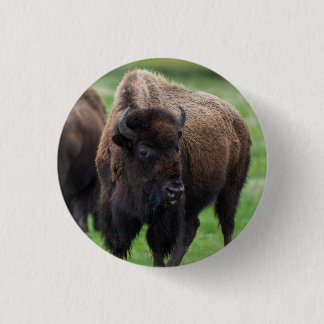 Wildlife  button