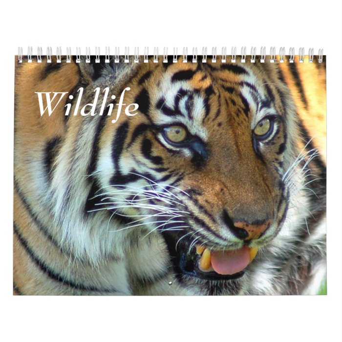 Wildlife Calendar