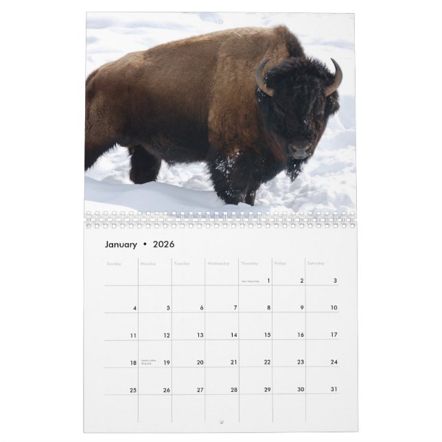 Wildlife Calendar (Jan 2026)
