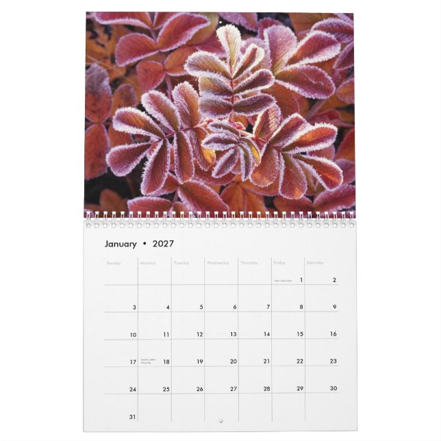 Wildlife Calendar (Jan 2027)