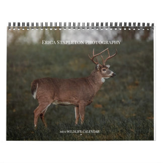 Wildlife Calendar