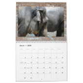Wildlife Calendar (Mar 2025)