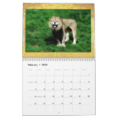 Wildlife Calendar (Feb 2025)