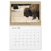 Wildlife Calendar (Jan 2025)