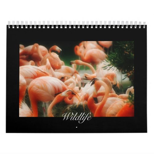 Wildlife Calendar