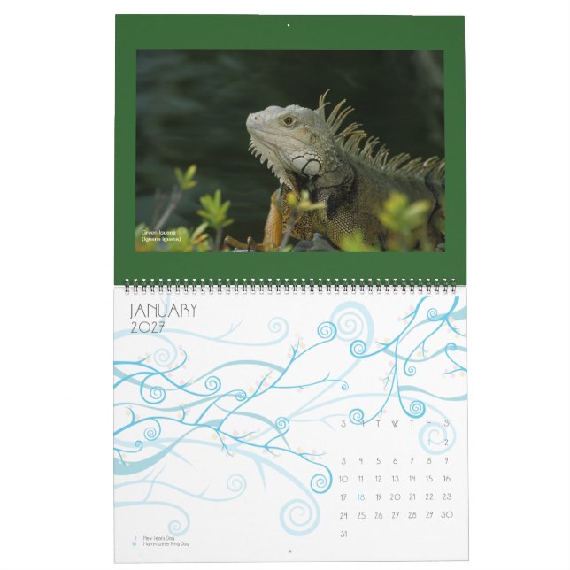 wildlife Calendar - 2012 (Jan 2027)