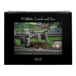 wildlife Calendar - 2012