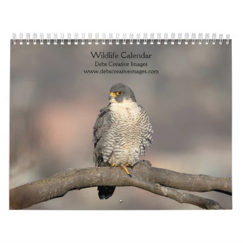 Wildlife Calendar 2024