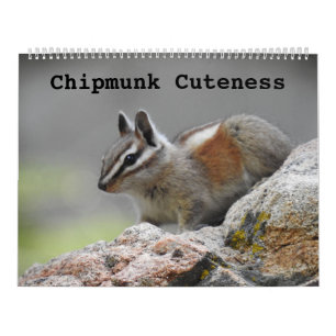 Wildlife calendar, wild animals, Chipmunk Cuteness Calendar