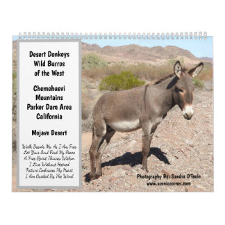 Wildlife Calendar, wild donkeys, burros, desert Calendar