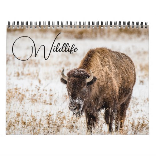 Wildlife Calendar with Captions