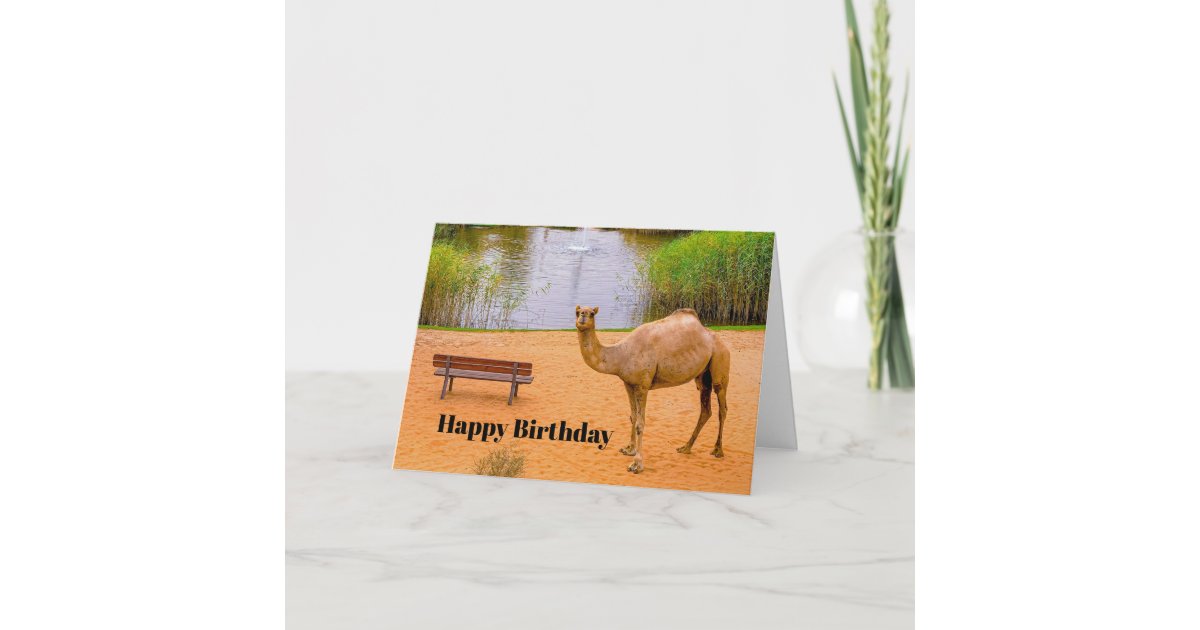 Wildlife Camel Oasis Photo Birthday Card | Zazzle