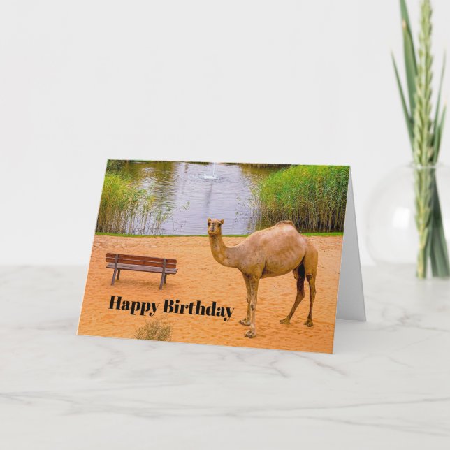 Wildlife Camel Oasis Photo Birthday Card (Front)