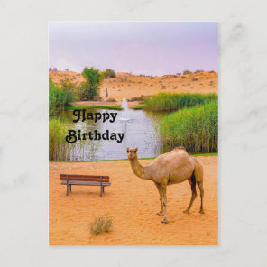 Wildlife Camel Oasis Photo Birthday Postcard