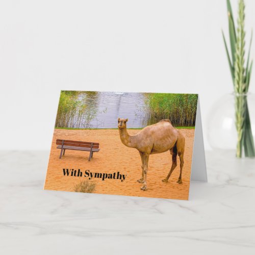 Wildlife Camel Oasis Photo Sympathy Card