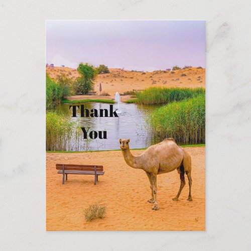 Wildlife Camel Oasis Photo Thank You Postcard