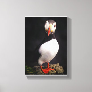 Wildlife Canvas Print