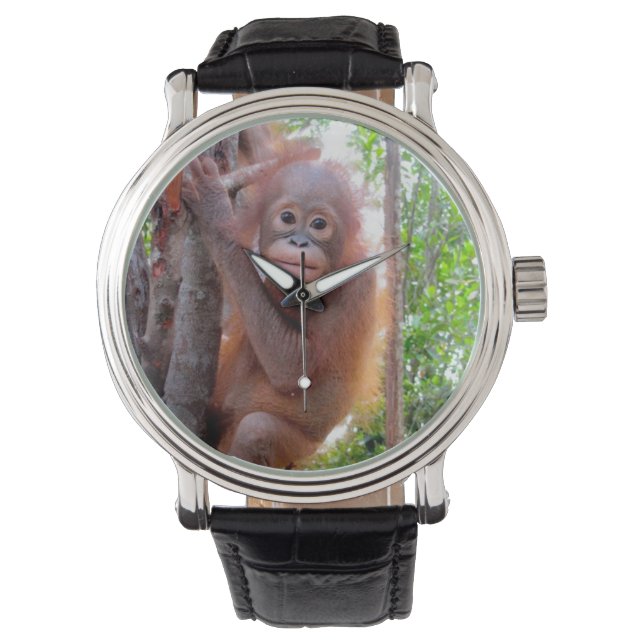 Wildlife Charity Baby Orangutan Watch (Front)