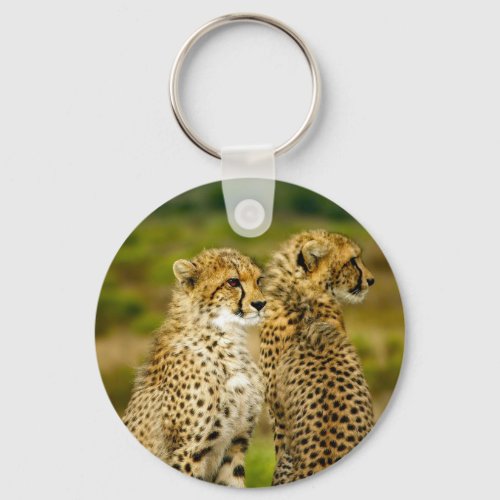 Wildlife Cheetah Photo Keychain