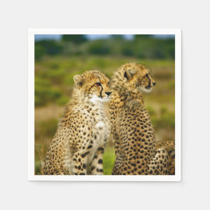 Wildlife Cheetah Photo Napkins