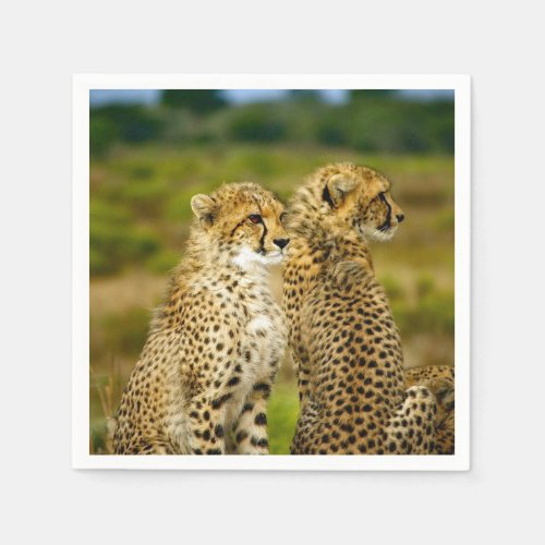 Wildlife Cheetah Photo Napkins