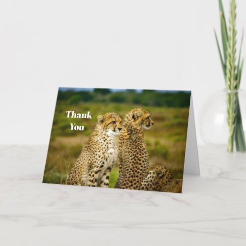 Wildlife Cheetah Photo Thank You Card