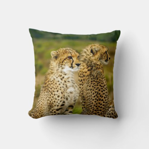 Wildlife Cheetah Photo Throw Pillow