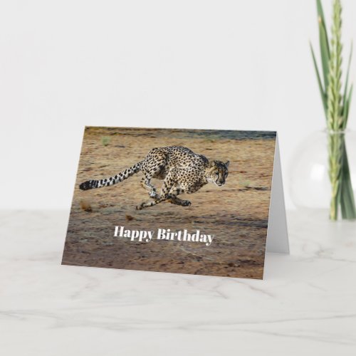 Wildlife Cheetah Running Photo Birthday Card