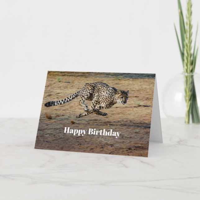 Wildlife Cheetah Running Photo Birthday Card (Front)