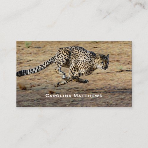 Wildlife Cheetah Running Photo Business Card