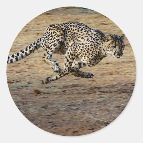 Wildlife Cheetah Running Photo Classic Round Sticker