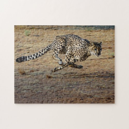 Wildlife Cheetah Running Photo Jigsaw Puzzle