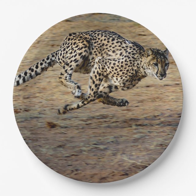 Wildlife Cheetah Running Photo Paper Plates (Front)