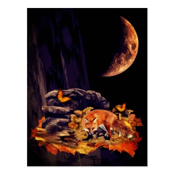Wildlife Collage With Fox  Hedgehog And Amber Moon Postcard by Chordata at Zazzle