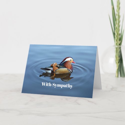 Wildlife Colorful Duck Blue Water Photo Sympathy Card