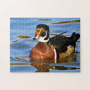 Wildlife Colorful Wood Duck Blue Water Photo Jigsaw Puzzle