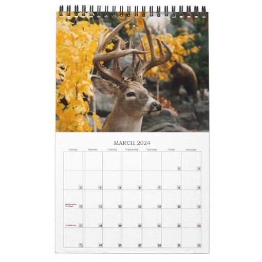 Wildlife Conservation Calendar | Zazzle