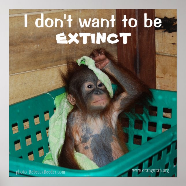 Wildlife Conservation Pouty Baby Poster (Front)