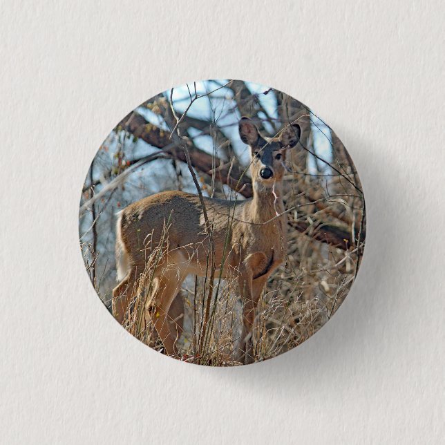 Wildlife Deer Woods Photo Button (Front)