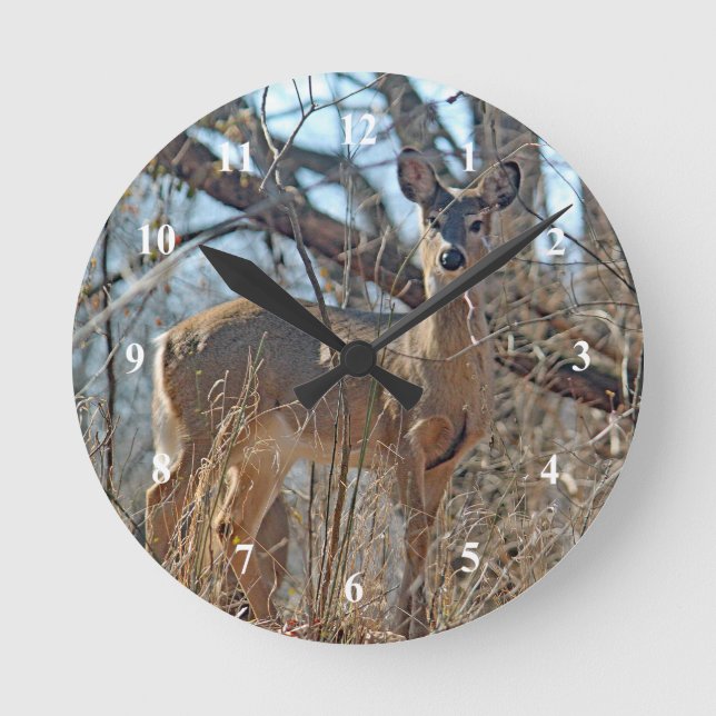 Wildlife Deer Woods Photo Round Clock (Front)