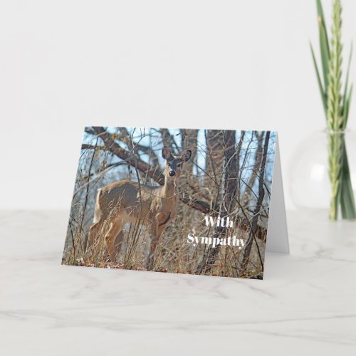 Wildlife Deer Woods Photo Sympathy Card