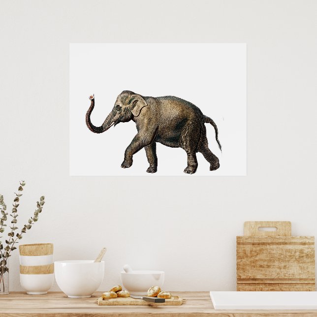 Wildlife Elephant Poster (Kitchen)