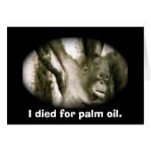 Wildlife Extinction Southeast Asia Palm Oil (Front Horizontal)